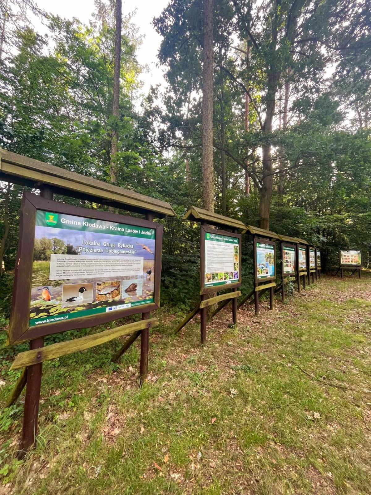 Master Camp Santocznoヴィラ エクステリア 写真
